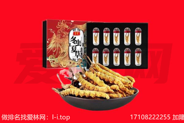 安定区回收虫草.jpg